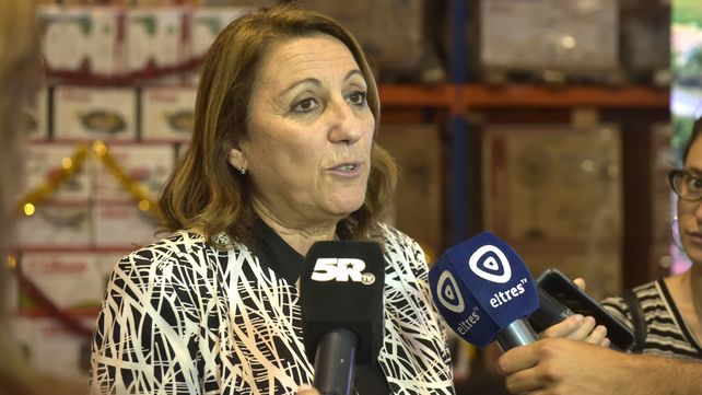 Fein: La seguridad es un tema mucho más complejo que repartir gas pimienta