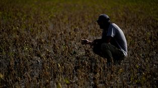 Golpe. La provincia fue una de las provincias más afectadas por la sequía en el país.