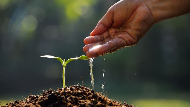 Lanzan alianza global para descarbonizar la agricultura