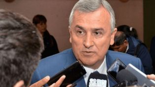 Gerardo Morales: Hay verdes que quieren que mate al bebé