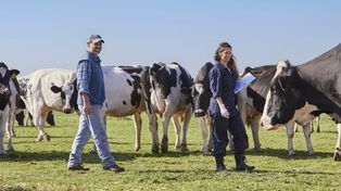En el marco de su programa de Bienestar Animal, Mastellone llevó adelante un encuentro para hablar sobre calidad de leche y crianza de terneras.