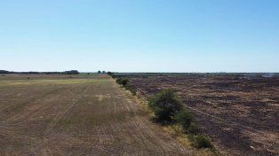 La Secretaría de Ambiente de Entre Ríos inició acciones administrativas contra los responsables de quemas en un desmonte ubicado en el departamento de Nogoyá