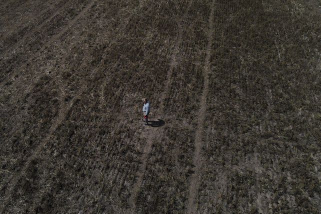 Agricultura