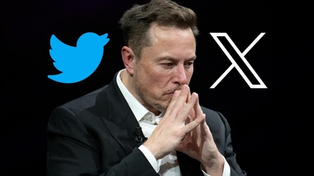 Muchos de los 153 millones de seguidores de Elon Musk en Twitter serían truchos