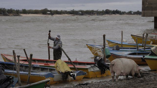 Pescador mueve de lugar las estacas que utiliza para atar la canoa en el Remanso Valerio.