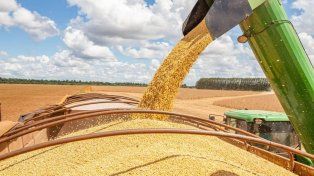 Las retenciones cero fueron para 12 empresas exportadoras.&nbsp;