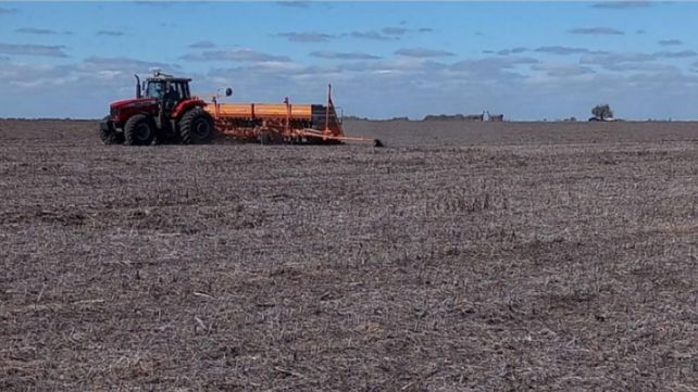 Lote con rastrojo de soja temprana en pleno proceso de siembra de maíz temprano