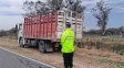 Operativo en Cayastá. La Guardia Provincial secuestró 15 vacunos transportados sin documentación en un camión.