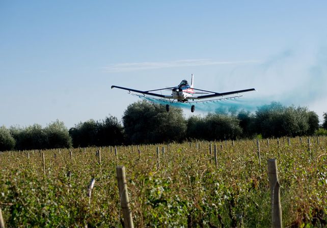 Propuestas. Uno pide prohibir las fumigaciones aéreas y limitar las terrestres. El otro achica los límites de las zonas libres de aspersiones.