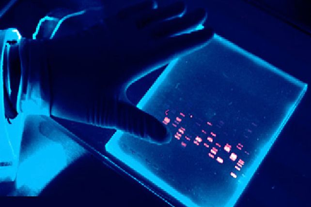 Promueven crear registro de huellas genéticas digitalizadas