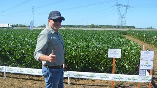 Cómo elegir el auxiliar de aplicación para controlar malezas difíciles