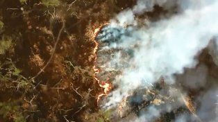Apicultores apelaron la condena por el incendio en las islas del Delta