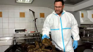 Cada cuerpo cuenta una historia: el trabajo del médico forense argentino tras el ataque de Hamas a Israel que dejó 1.200 muertos