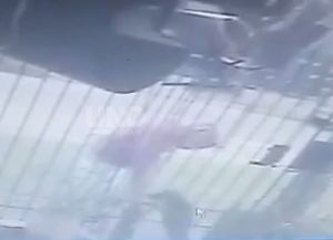 Ni los perros se salvan de los delincuentes en barrio Guadalupe