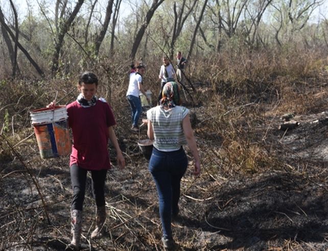 Otro fin de semana dramático en la isla: el fuego consumió viviendas y obligó a desalojar el peaje del puente