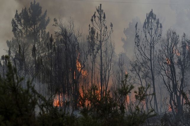 pedrógo grande. El fuego comenzó el sábado en el distrito de Leiraia