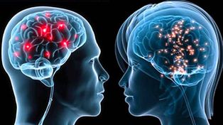 ¿Por qué funcionan distinto los cerebros de hombres y mujeres?