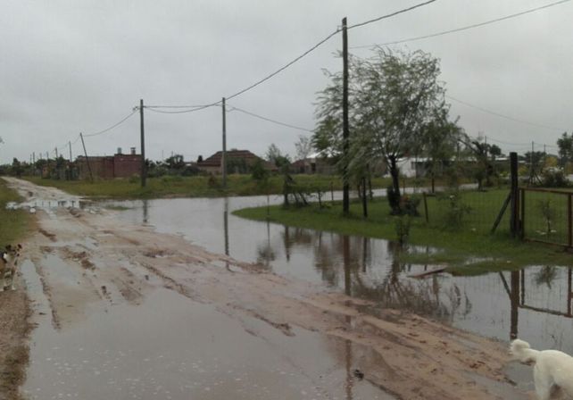 En Arroyo Leyes el agua tapó las veredas.