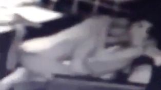Una pareja fue filmada cuando mantenía relaciones sexuales en el sillón de un café