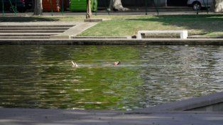 En Rosario sigue el calor pero con algunas chances de tormentas