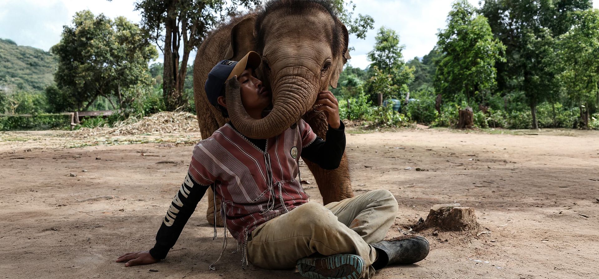 Un cuidador de elefantes Karen juega con un ternero en Elephant Freedom Village. Los cuidadores de elefantes Karen trabajan para preservar los métodos tradicionales de las tribus de las montañas de coexistencia humana con los animales, Chiang Mai, Tailandia. Fotografía: Anadolu/Getty Images Un cuidador de elefantes Karen juega con un ternero en Elephant Freedom Village. Los cuidadores de elefantes Karen trabajan para preservar los métodos tradicionales de las tribus de las montañas de coexistencia humana con los animales, Chiang Mai, Tailandia. Fotografía: Anadolu/Getty Images