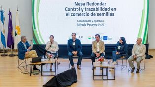 El aporte de las semillas a una agricultura más sustentable