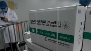 Santa Fe se apresta a recibir desde el lunes las vacunas chinas para inmunizar a los docentes 