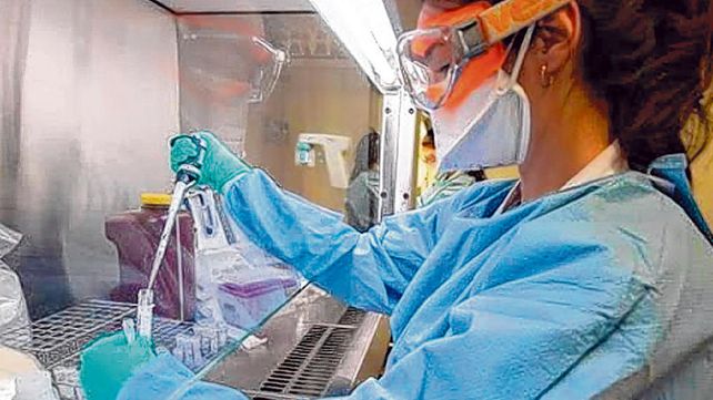 Contrarreloj. &ldquo;Nuestro objetivo es en dos meses tener la prote&iacute;na