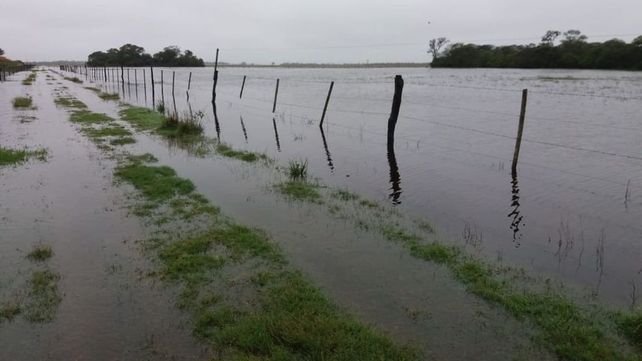 El norte provincial sigue bajo agua en una de sus peores inundaciones