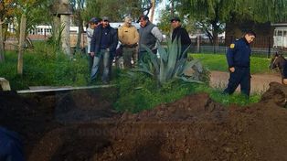 Una yegua se cayó en un pozo y debieron rescatarla con una retroexcavadora