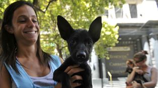 Cuidadores y dueños de mascotas, conectados en verano