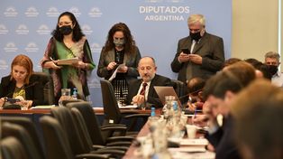 Ley de Alquileres: comenzaron las consultas en la comisión de Legislación de Diputados 