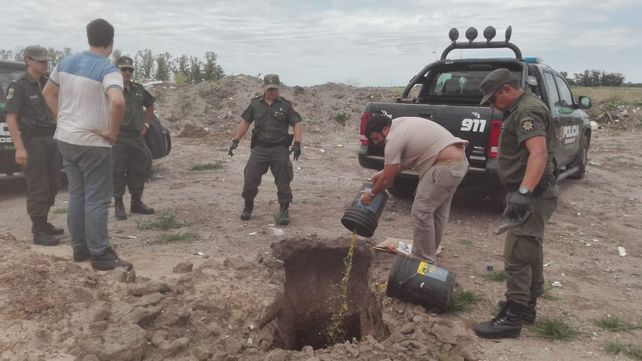 Decomiso de carne vacuna y de cerdo no apta para consumo