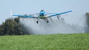 Censuraron la divulgación de estudio sobre contaminación con agroquímicos