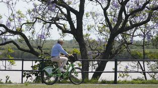 El turismo en Rosario viene creciendo desde hace más de un año, y cada fin de semana largo permite consolidar esa tendencia.