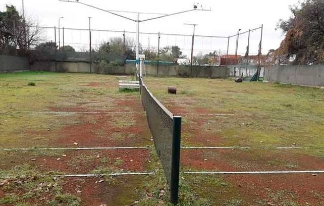 Las canchas de tenis hoy, invadidas por  los yuyos.