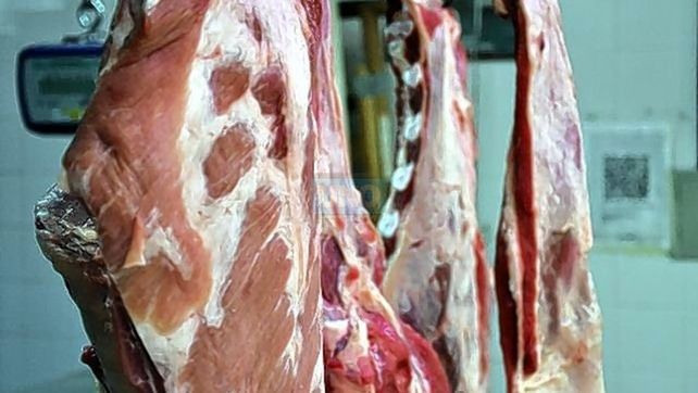 Vendían carne en mal estado en una carnicería de Tala