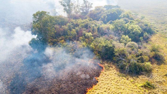 Dos focos de incendios forestales en los Esteros del Iberá