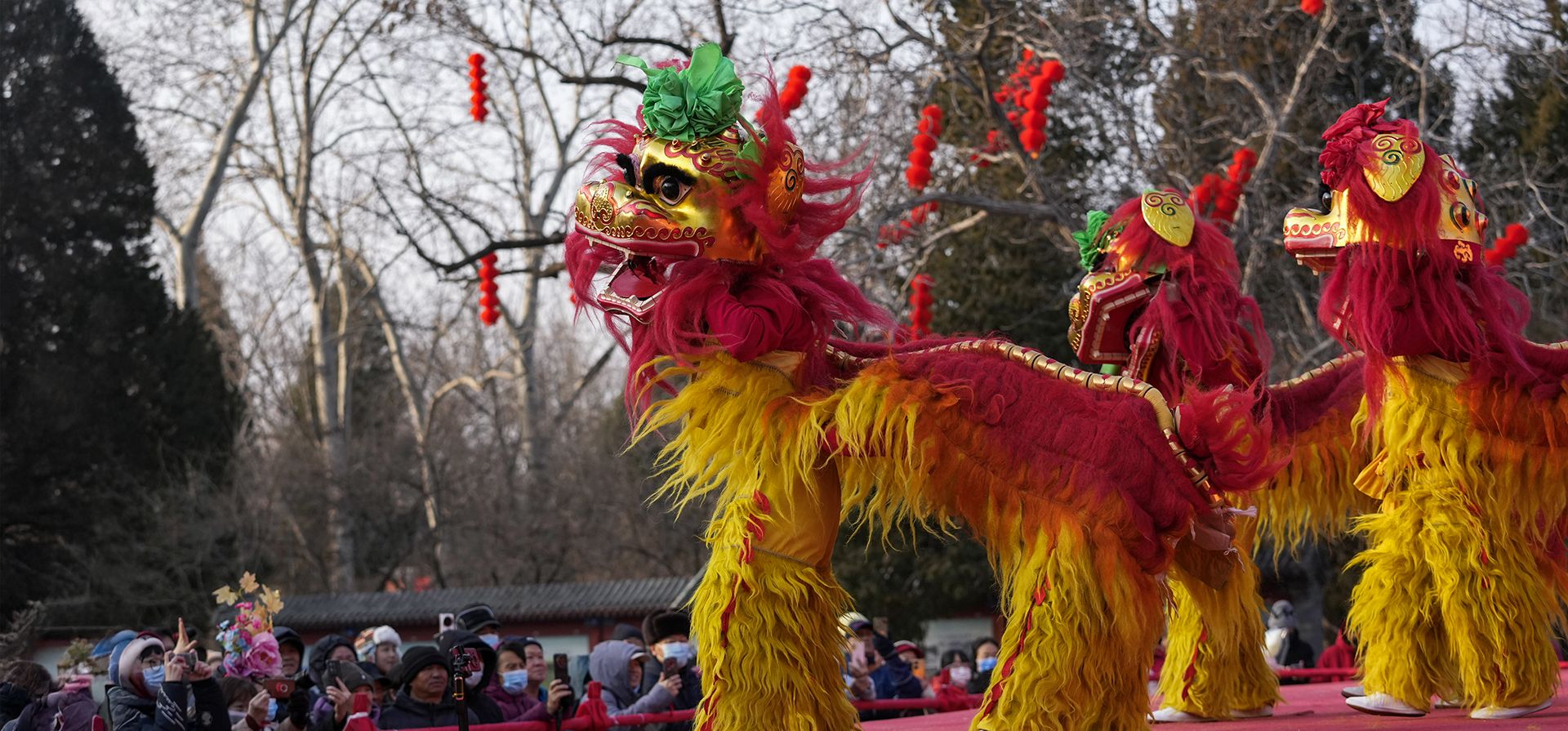 Los bailarines de leones chinos actúan en la Feria del Templo del Parque Longtan el segundo día del Año Nuevo Lunar en Beijing el jueves 30 de enero de 2025. (Foto AP/Aaron Favila) Los bailarines de leones chinos actúan en la Feria del Templo del Parque Longtan el segundo día del Año Nuevo Lunar en Beijing el jueves 30 de enero de 2025. (Foto AP/Aaron Favila)