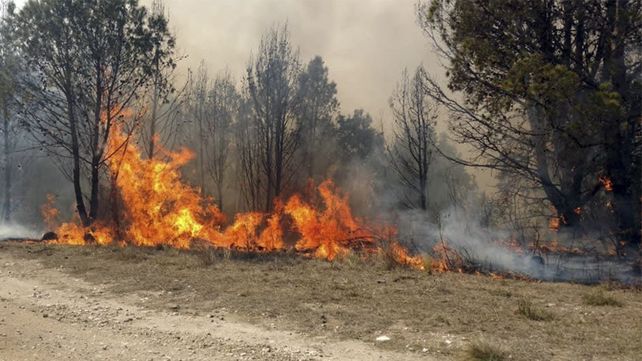 Volvió el fuego a las sierras.&nbsp;