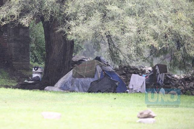 Posición. “No tengo miedo de pasar la noche debajo de un árbol