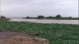 hallaron el cuerpo del tercer pescador desaparecido en el rio parana a la altura de rosario