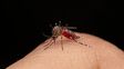 Roldán refuerza la prevención del dengue con una campaña de descacharrado en toda la ciudad
