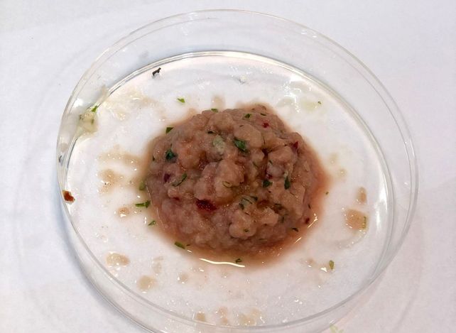 Primera degustación de carne de laboratorio