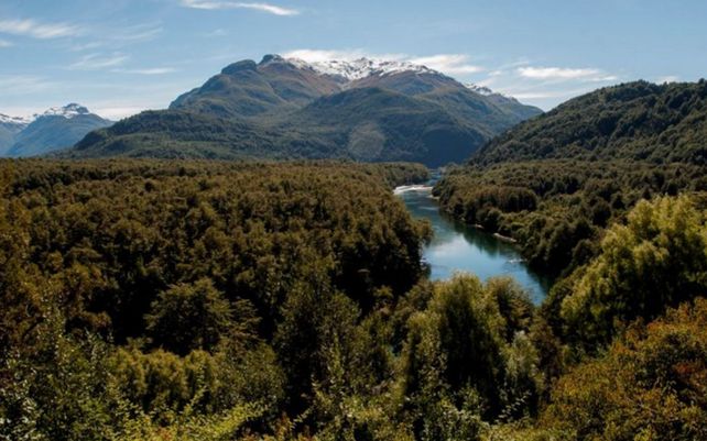 Cómo es el Parque Nacional Los Alerces que fue declarado Patrimonio Natural por la Unesco