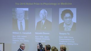 El Nobel de Medicina fue para investigadores en tratamiento contra parásitos y la malaria