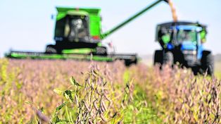 Milei anunció que reinstalará las retenciones a las exportaciones. La novedad cayó mal en muchos sectores del campo.