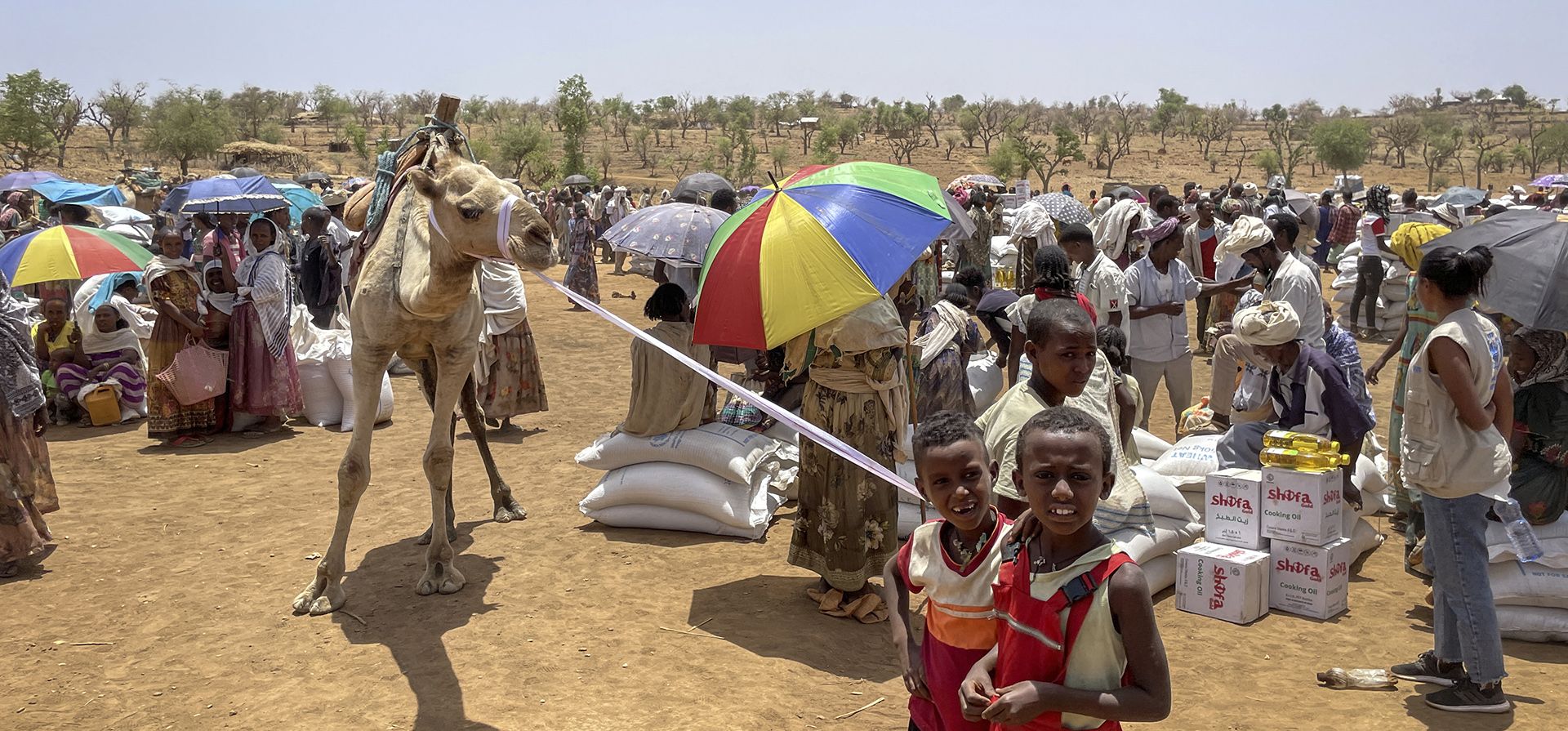 Niños se paran en un sitio de distribución de alimentos en la ciudad de Adi Mehameday, en la región occidental de Tigray en Etiopía. El hambre se está apoderando de millones de personas en Etiopía que enfrentan una combinación de conflicto en el norte y la sequía en el sur, mientras que la disminución de los recursos significa que el apoyo alimentario y nutricional puede agotarse a partir del próximo mes, advirtió este jueves el Programa Mundial de Alimentos