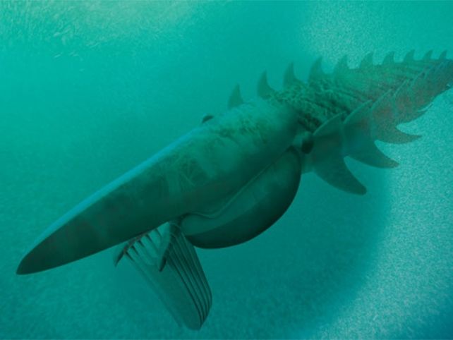 Descubren un monstruo marino que vivió hace 480 millones de años