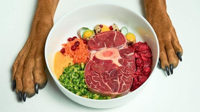 Un plato de la dieta BARF